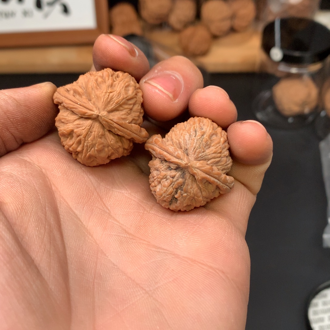 把件文玩核桃31+白狮子