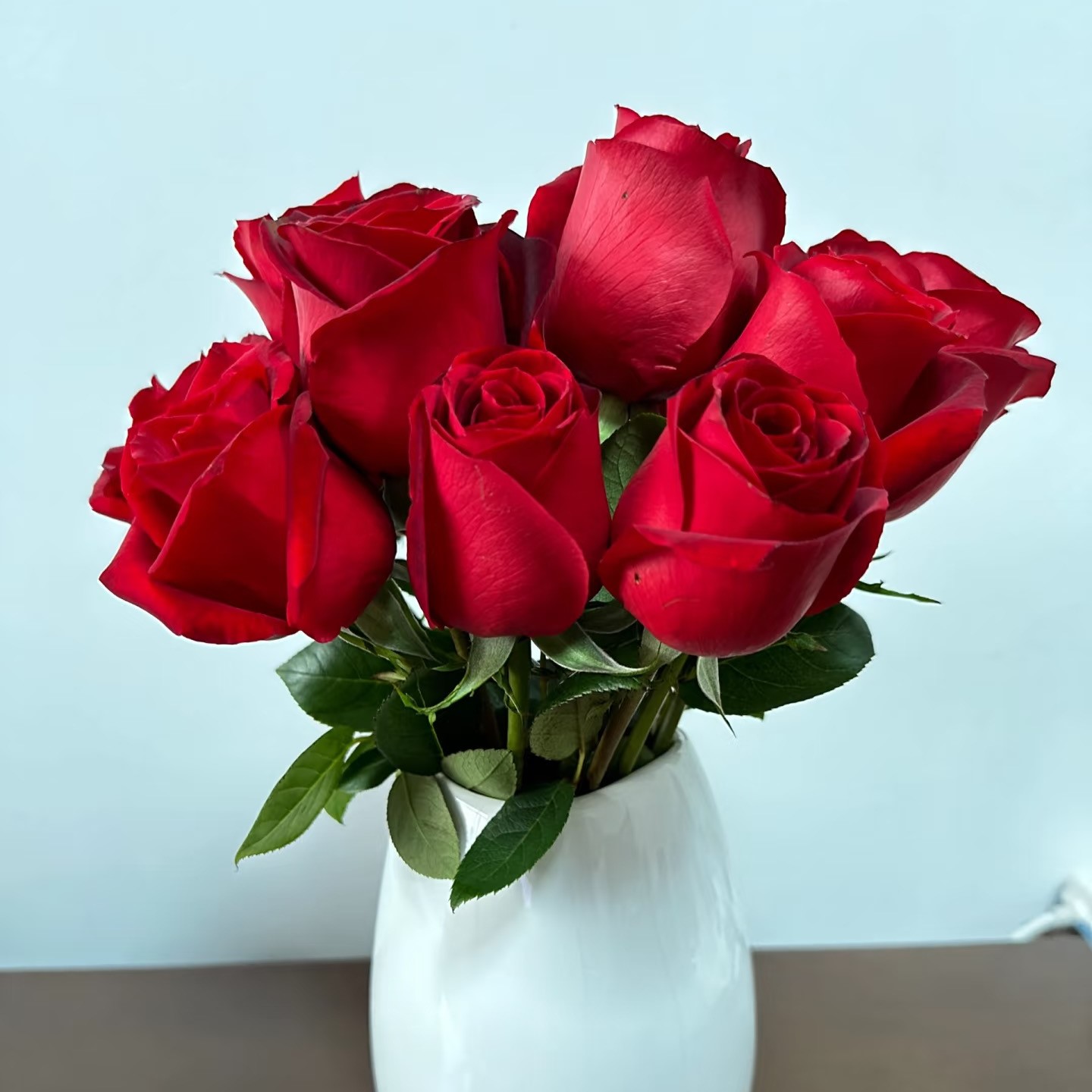 卡罗拉玫瑰--【到货需要醒花，不会的联系客服】