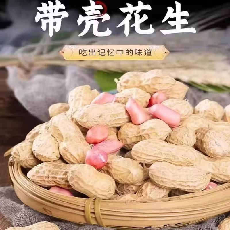 2025年带壳花生米自然晒干皮薄子大可炒可炸可生吃