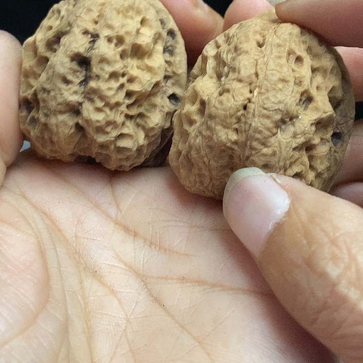 文玩核桃把件云南铁核桃基地89