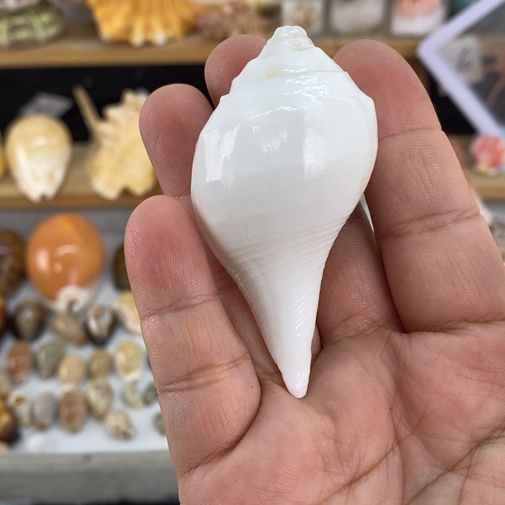 宝宝宝晚安宝宝宝晚安