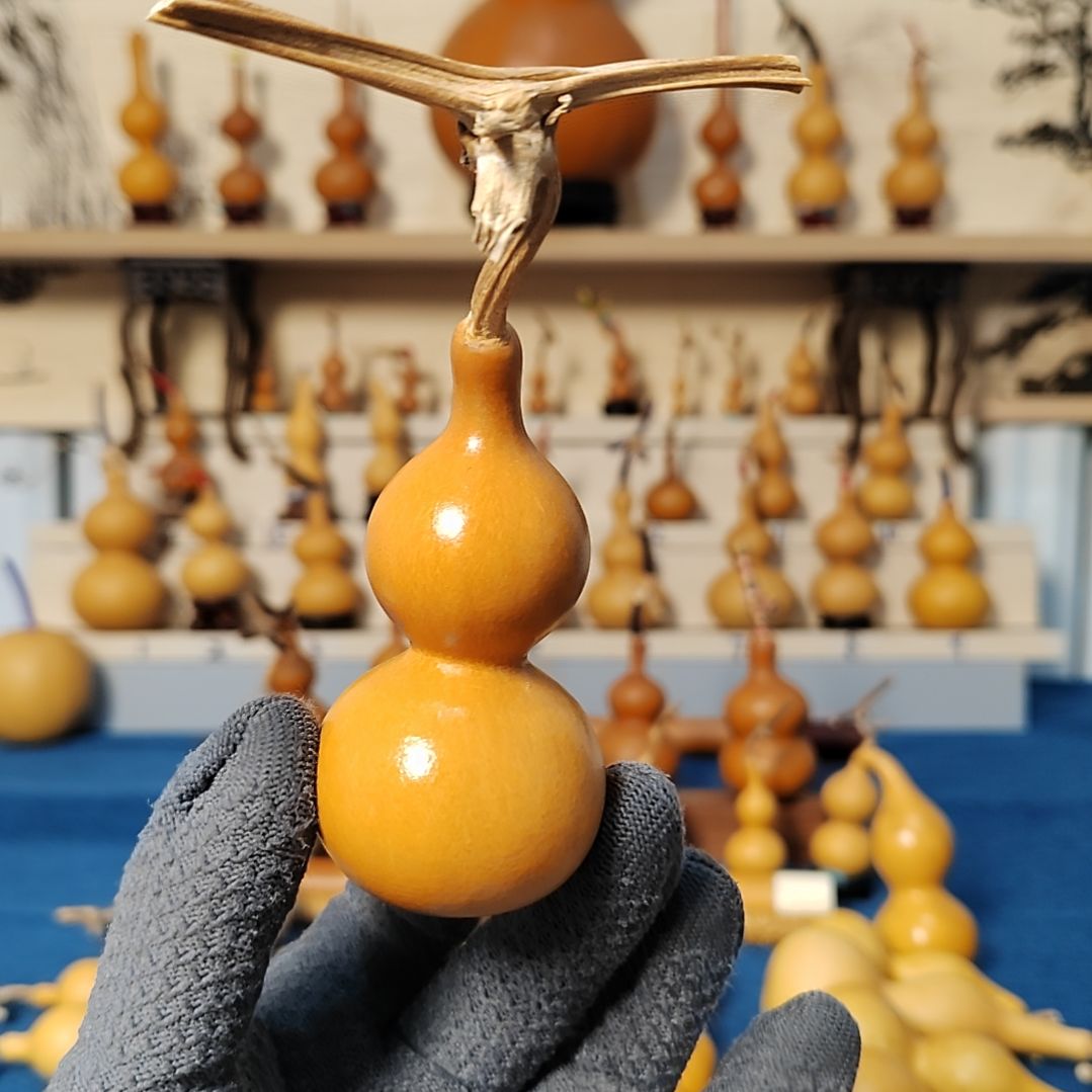 1**7抖了抖啥都册子不知道