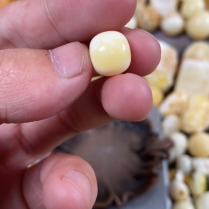 琥珀裸石未镶嵌我