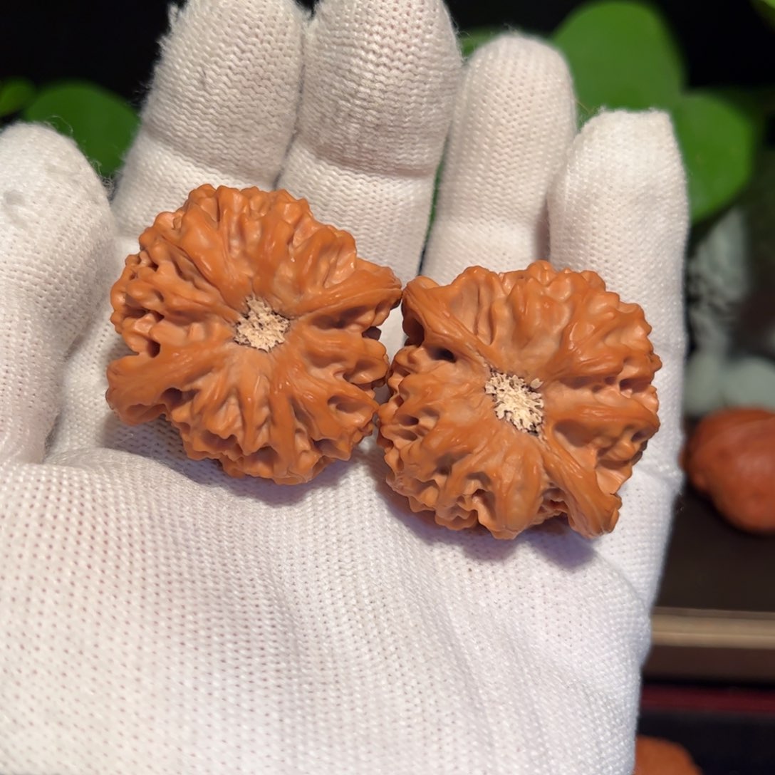 【闪购商品】文玩核桃把件龙门涧