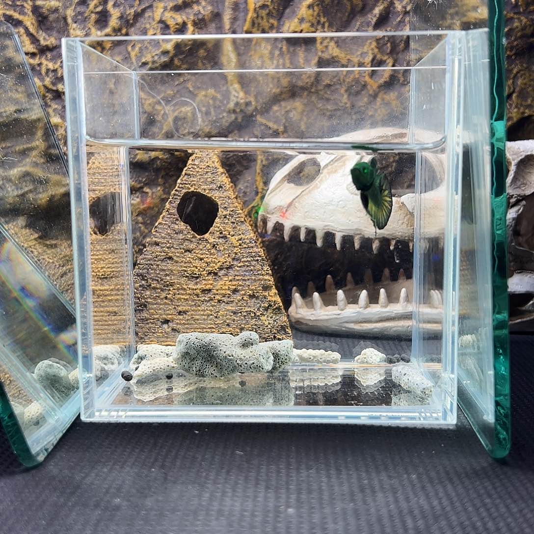 斗鱼精品精品精品精品精品