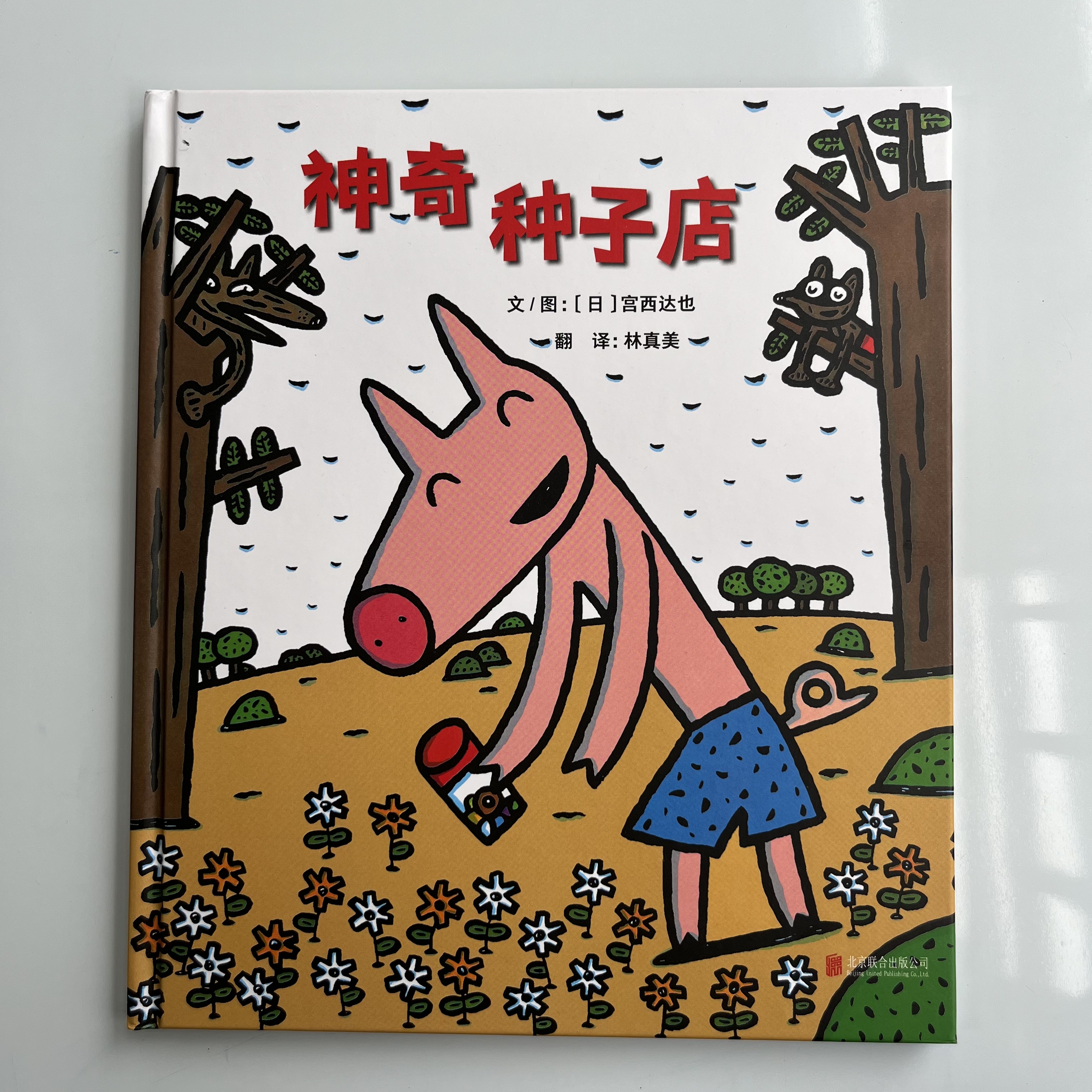 精装硬壳神奇种子店宫西达也经典幼儿图画书睡前故事书