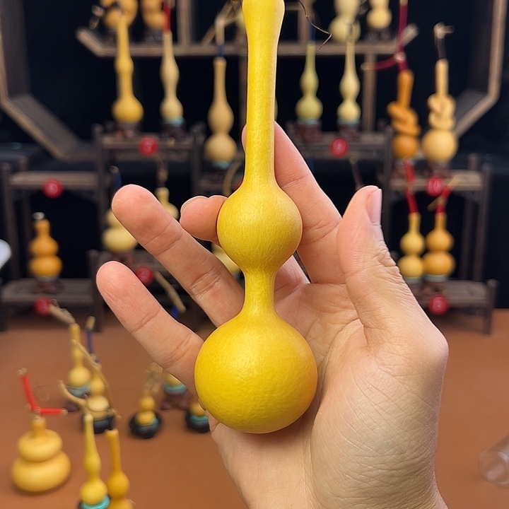 Y***G葫芦笙等乐器的演奏