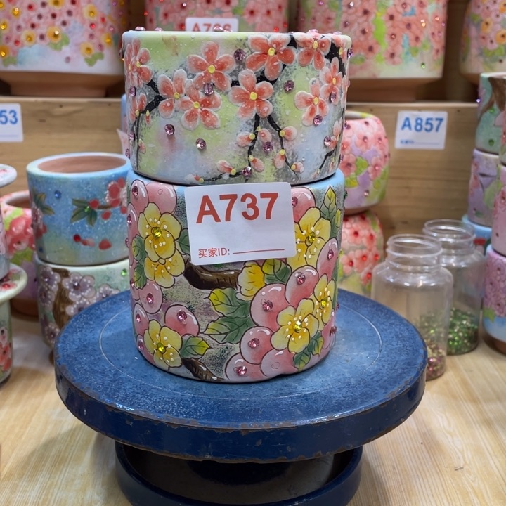 ?**࿐多肉花盆特价福利