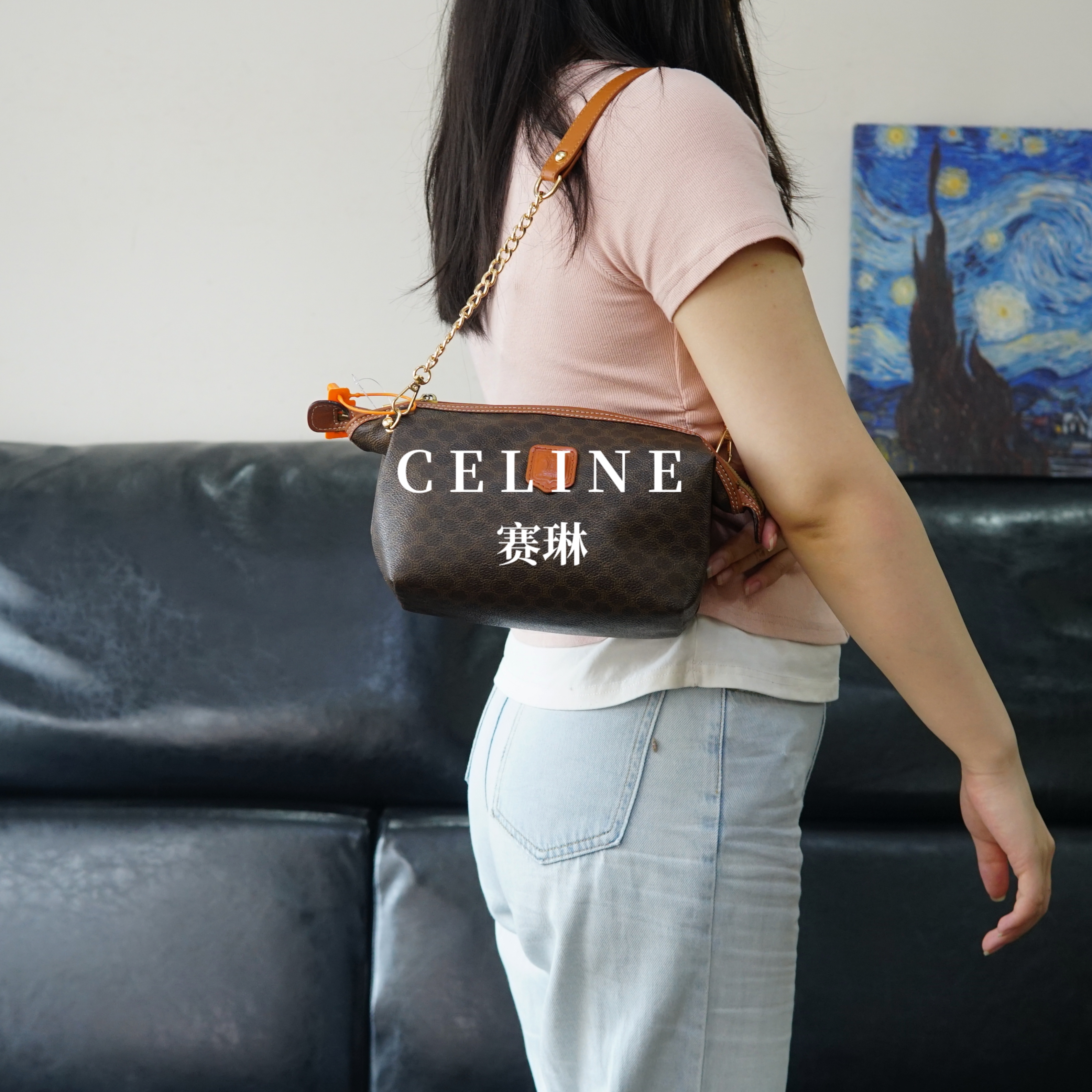 95新 Celine/思琳 老花云朵包/FYAR03530057/0057