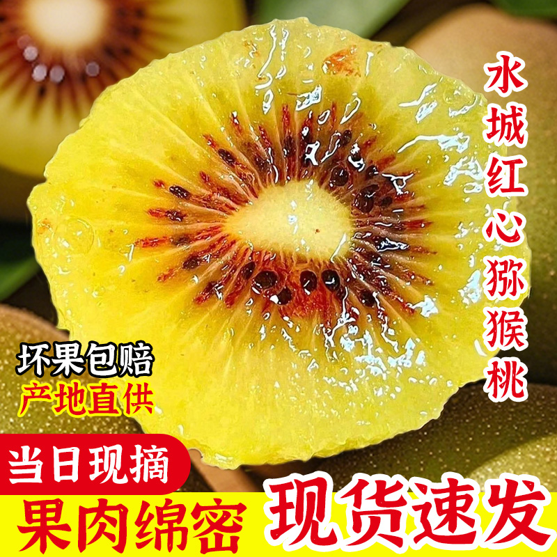 正宗贵州水城猕猴桃产地直发大果当季新鲜水果红心猕猴桃现摘现发