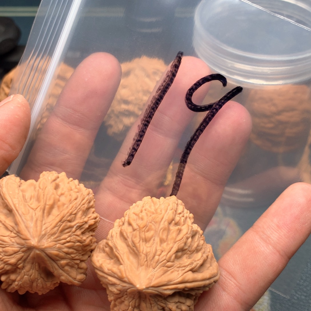 文玩核桃吊坠大沽石