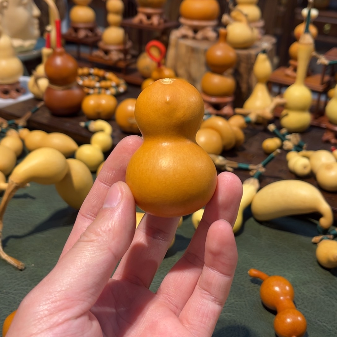 熙*重返校园第一年我是歌手我