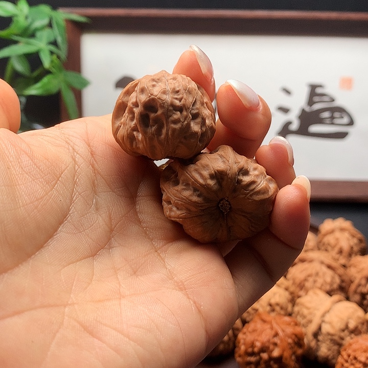 感谢支持祝哥一路长虹
