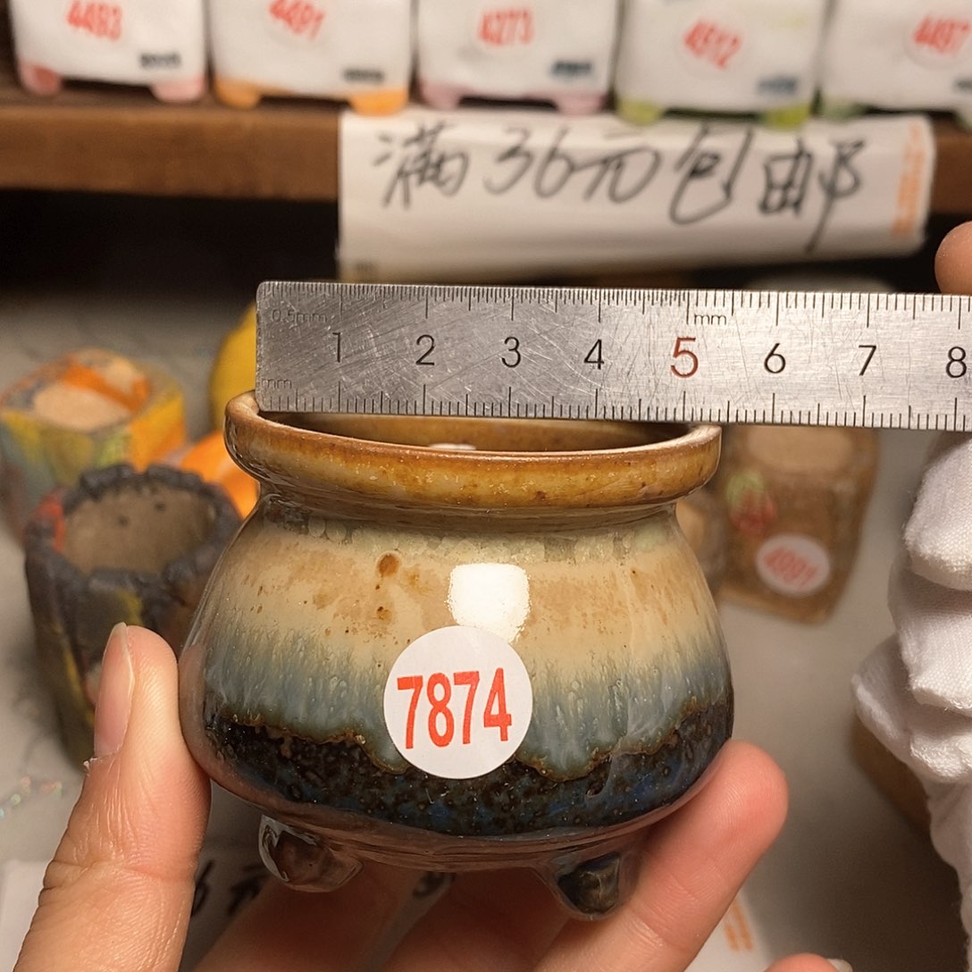 红陶拍5送一个小