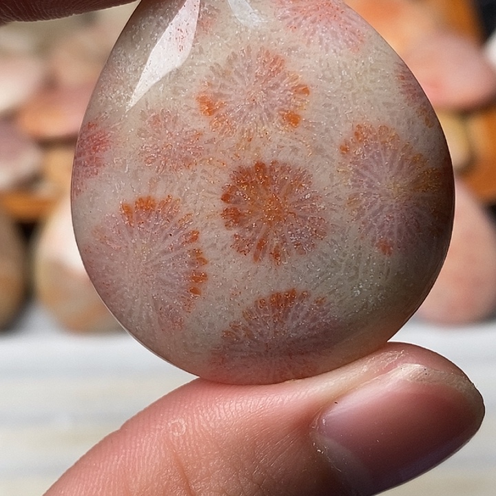 C****硅化珊瑚未镶嵌颈饰