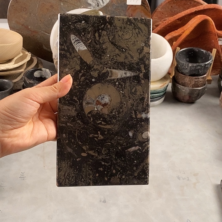 摘***你干泡台菊石角石茶盘