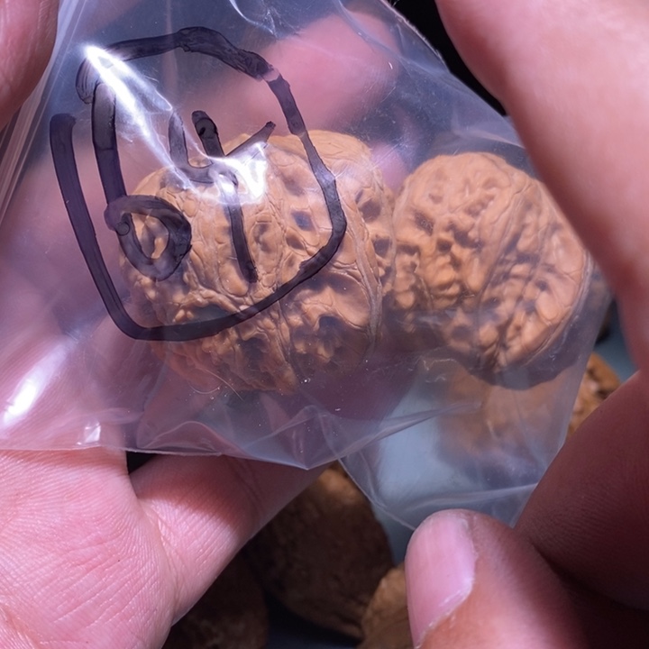 文玩核桃把件64的的一