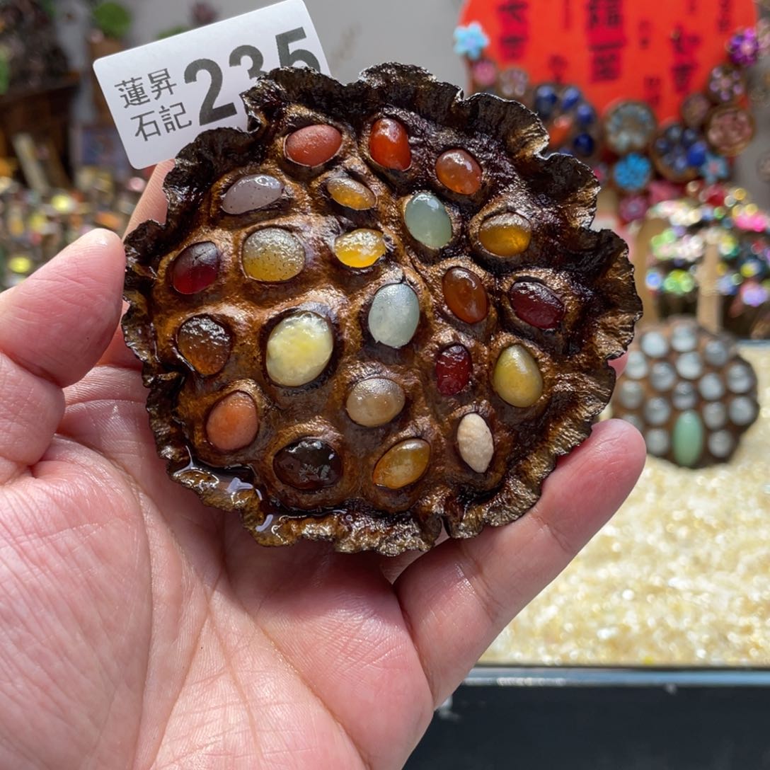 核桃木/黑胡桃（胡桃木）235