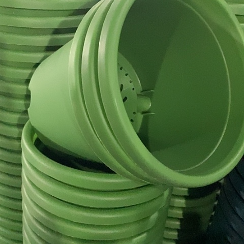 树脂四季3号草绿无托10个