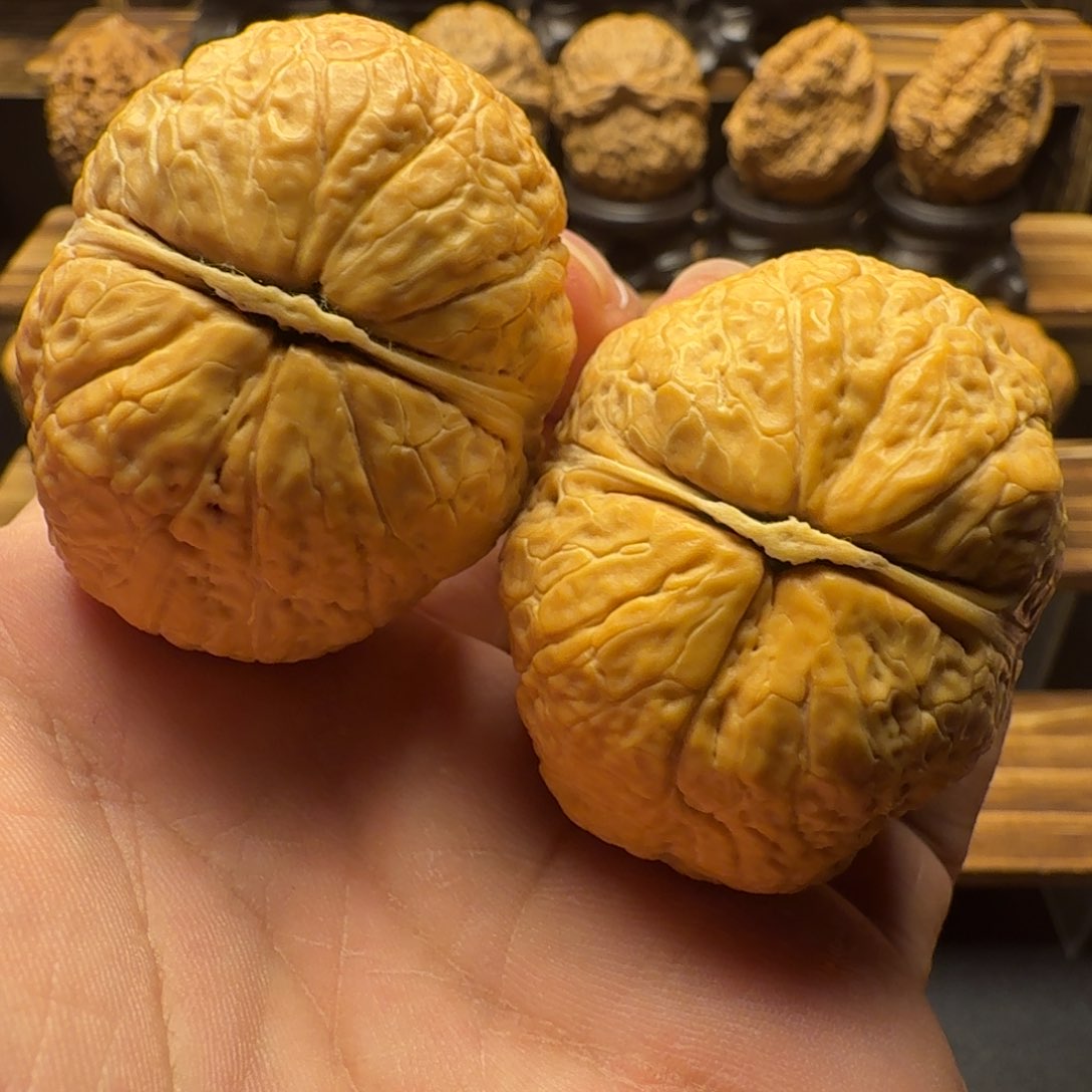 文玩核桃把件46尺 聚宝蟾王