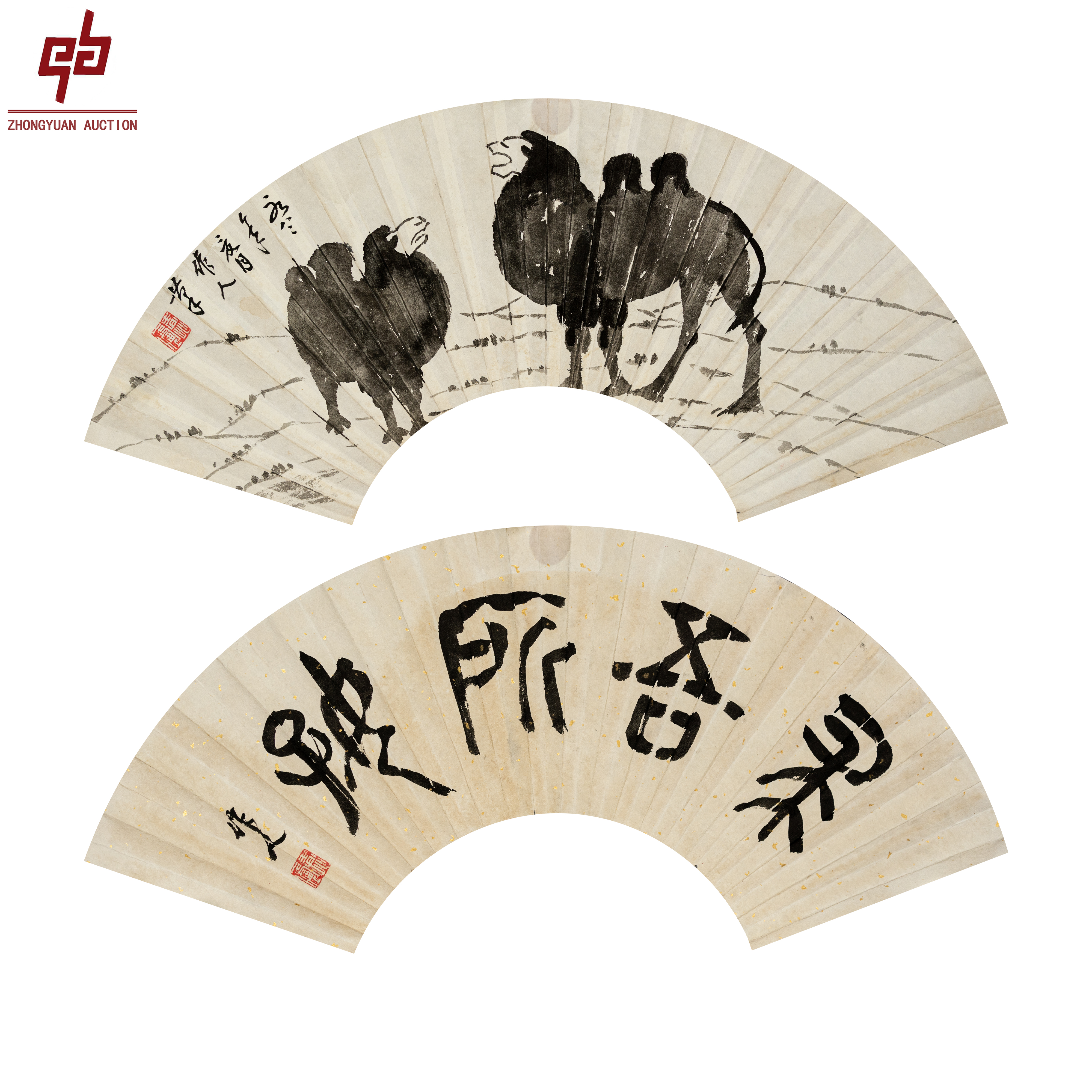 "lot2768  作人老款 骆驼 扇面 18cm*57cm约0.9平尺"