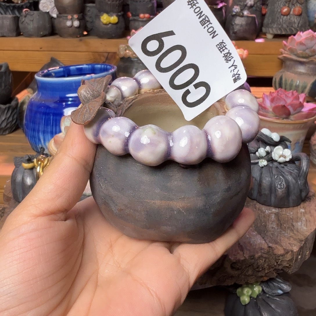 重庆小燕子欢迎大家009