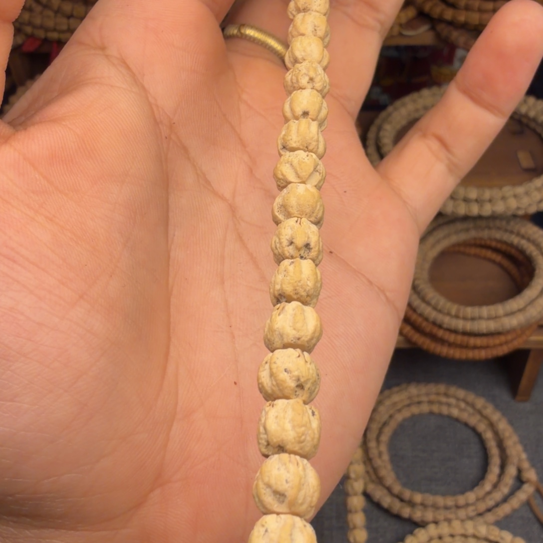 金***蚕柏木柏柏柏柏柏柏柏柏