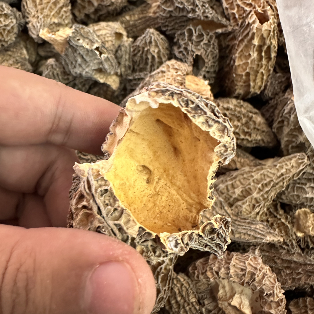 特大个。破损羊肚菌统货自吃净重