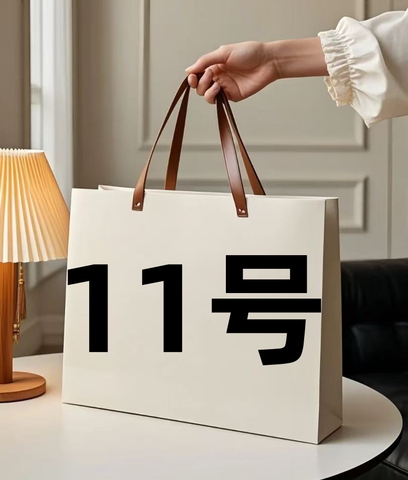 新款潮流休闲时尚百搭女士包【11号】