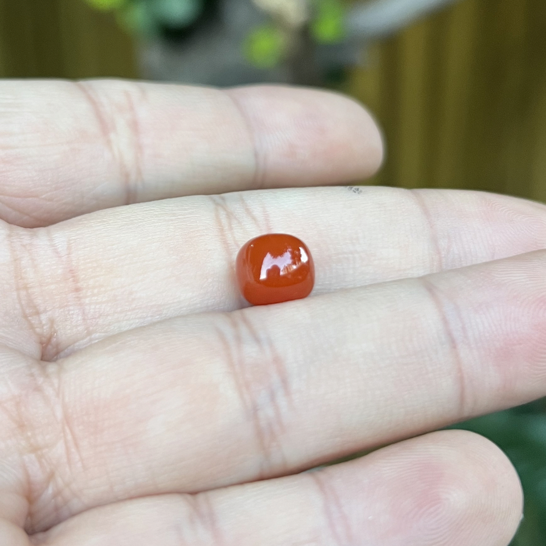 4号:活动南红（8.7瓦西柿子锦老型）