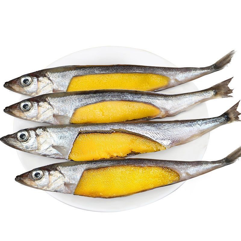 新鲜海捕满籽多春鱼天然籽适合香煎烧烤的冷冻海鲜