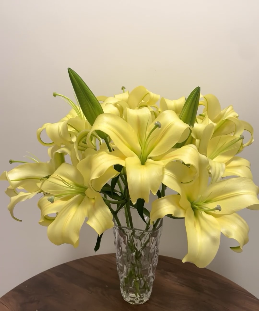 皇帝香水百合 【三单升级京东或顺丰】 云南基地直发