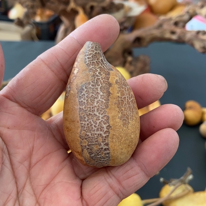 ?****姐dhxdjjxjxjdsss