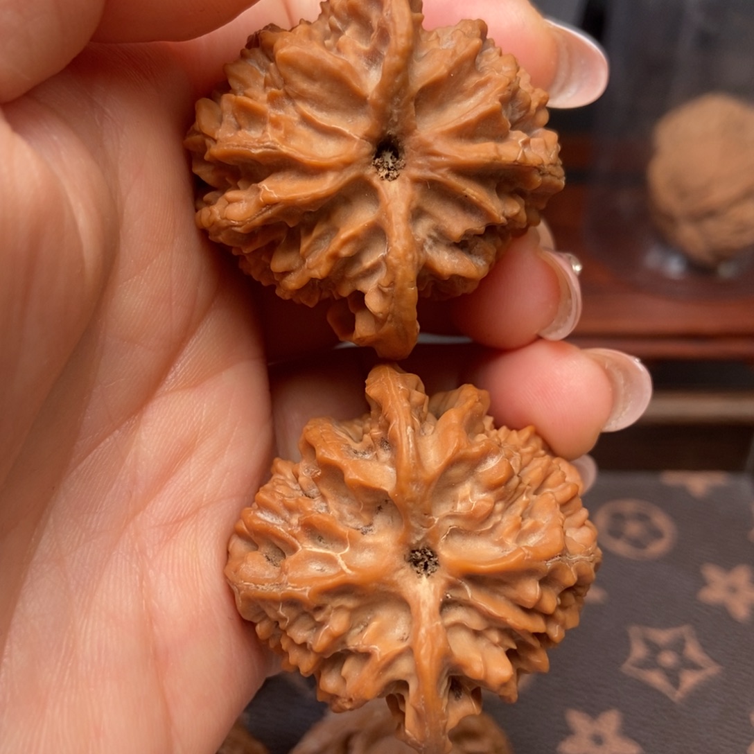 大叶紫檀（黑酸枝木类）三角苹果