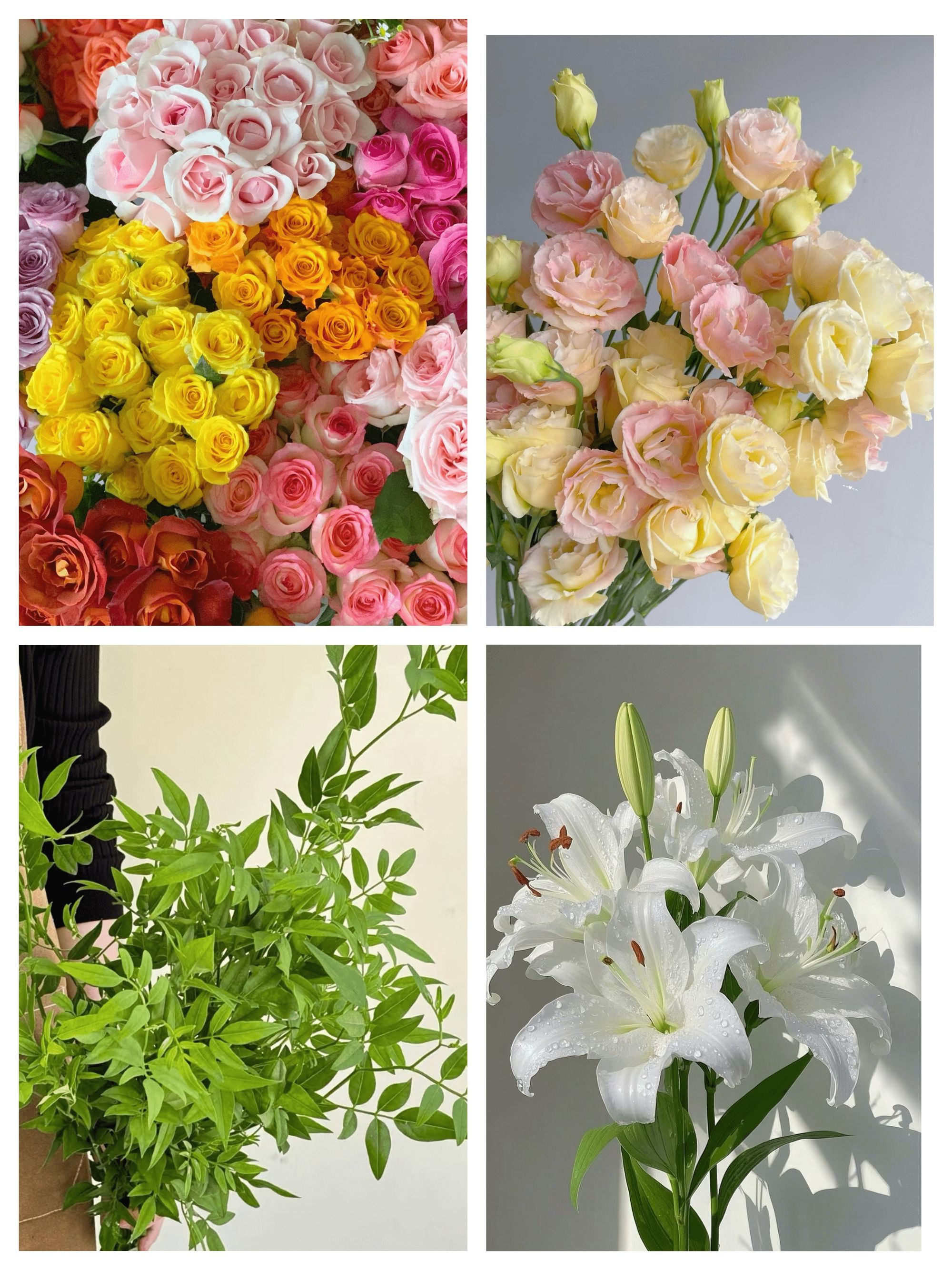 浪漫甄选（组合花束）云南鲜花 任意两单升级冷链或空运到家