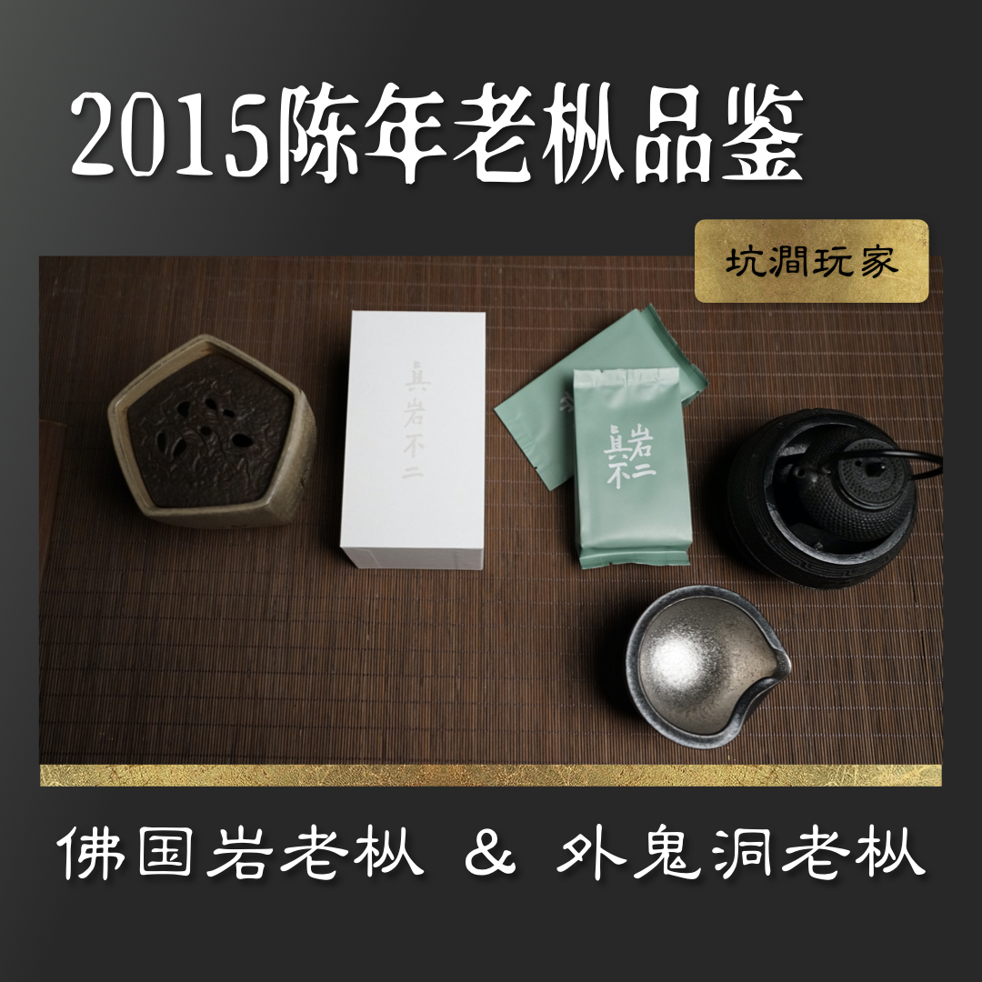 【陈茶玩家】2015佛国岩&外鬼洞老枞  经验之外的惊艳  鼎级