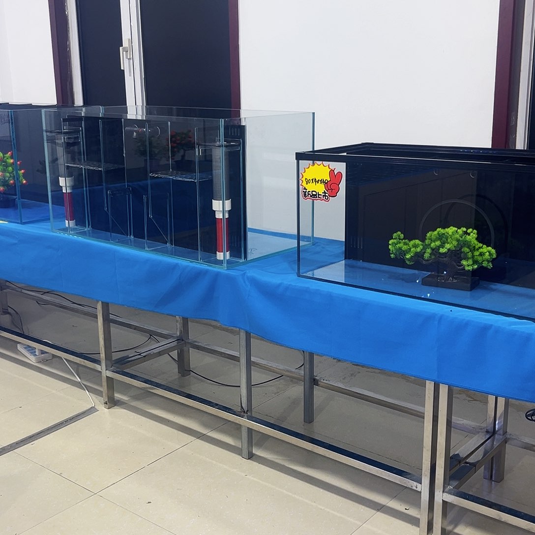 玻璃旺**工.70.40.40背新款鱼马桶双