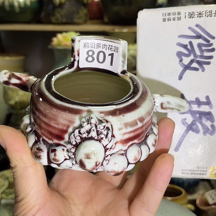 狼盆内口径5高度5
