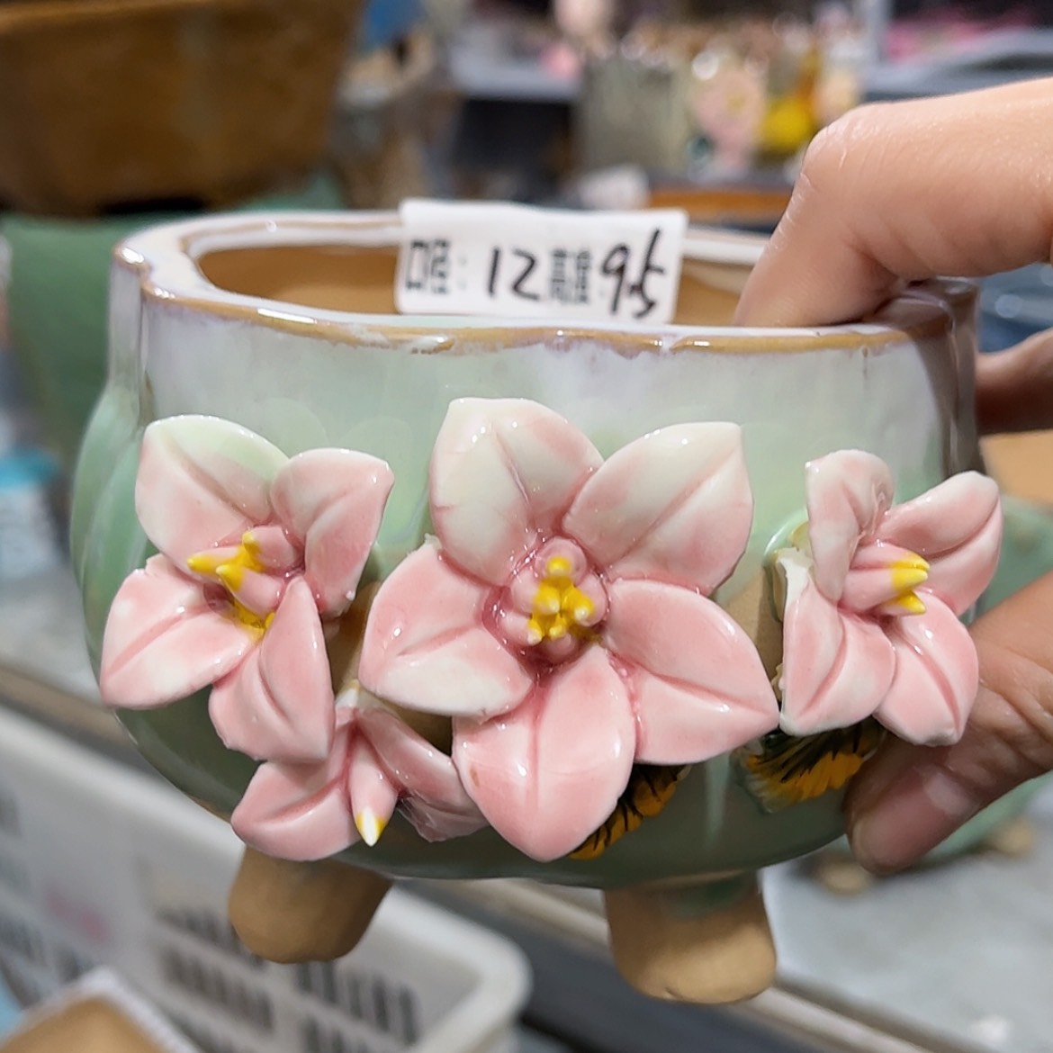 【闪购商品】红陶福利