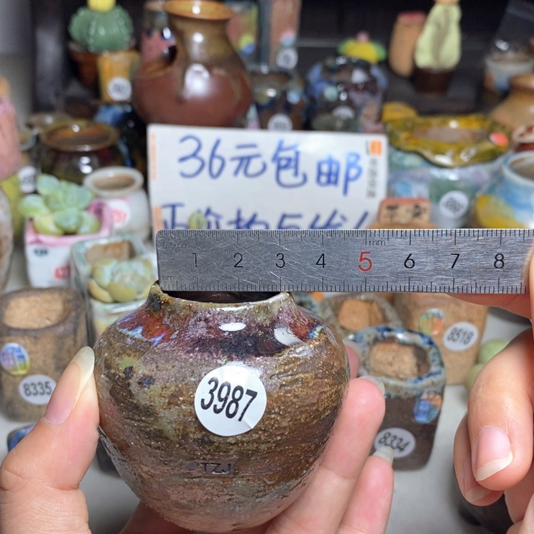拍5送一个小礼物