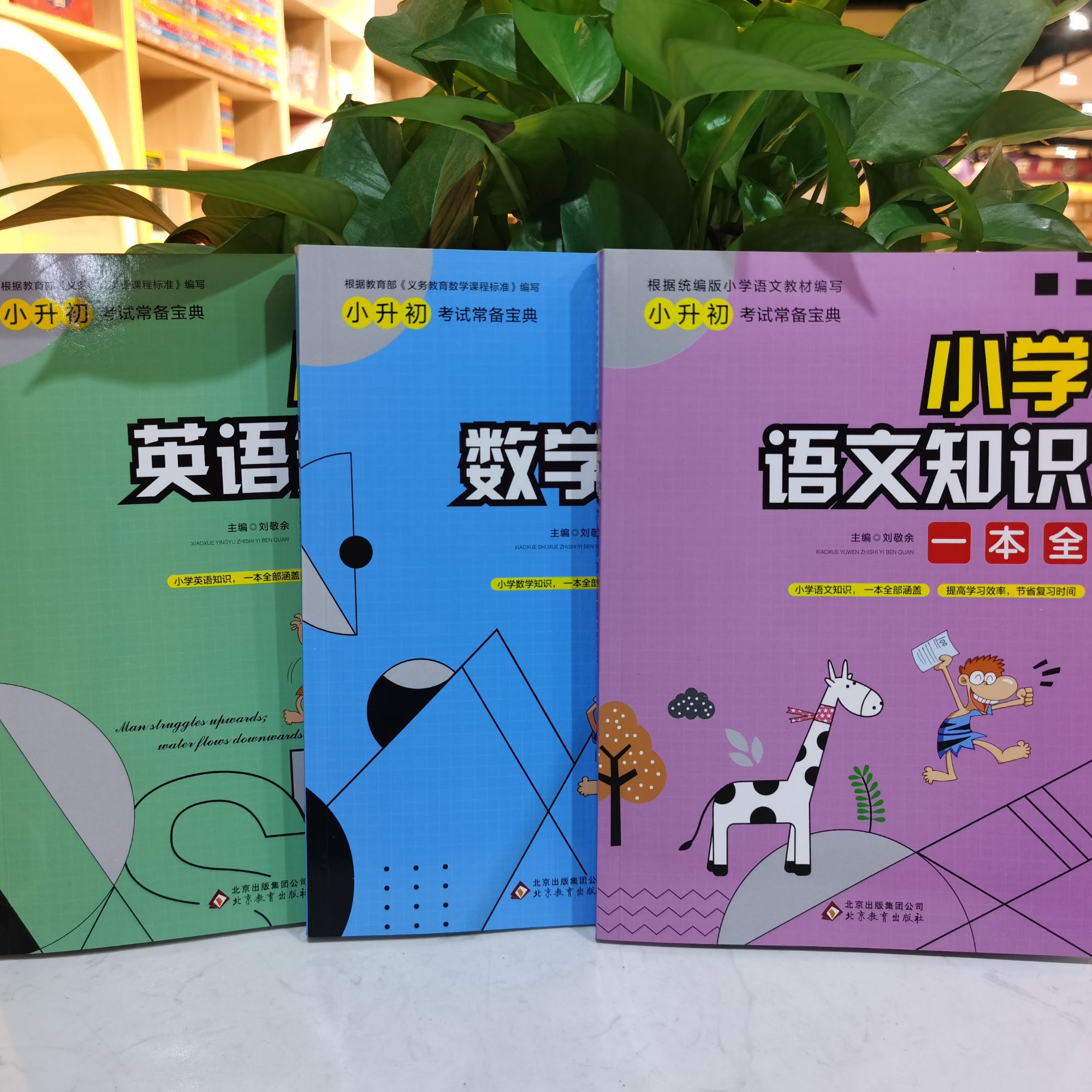 小学数学英语语文知识一本全涵盖小学阶段需识记积累内容