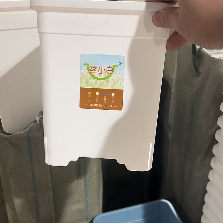 方2号白5个带托盘