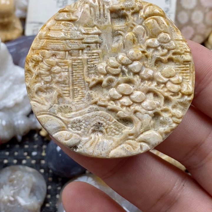 颈饰未镶嵌硅化珊瑚（珊瑚玉）