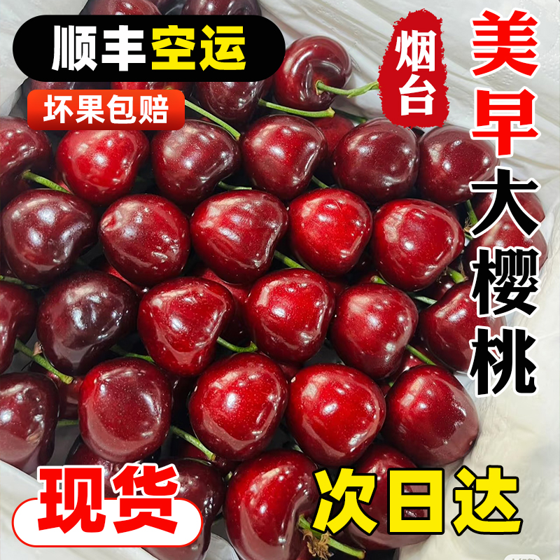 【顺丰空运】5斤装山东露天大樱桃新鲜采摘应季拉宾斯孕妇水果J2/3/5斤新鲜水果Lapins