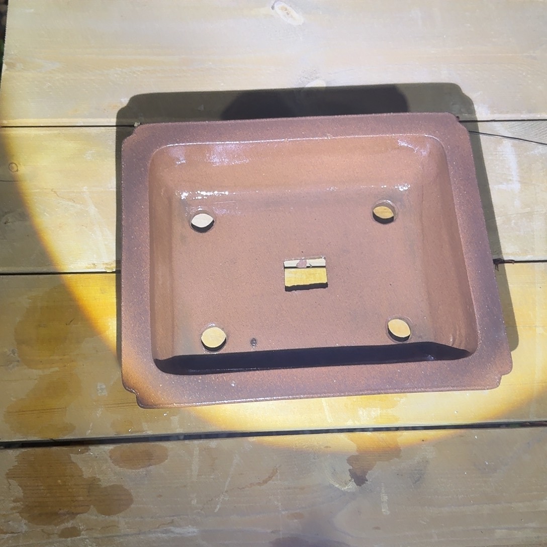 完全开放300真山小飞皮