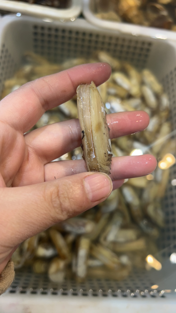 【加工】中号小仁鲜