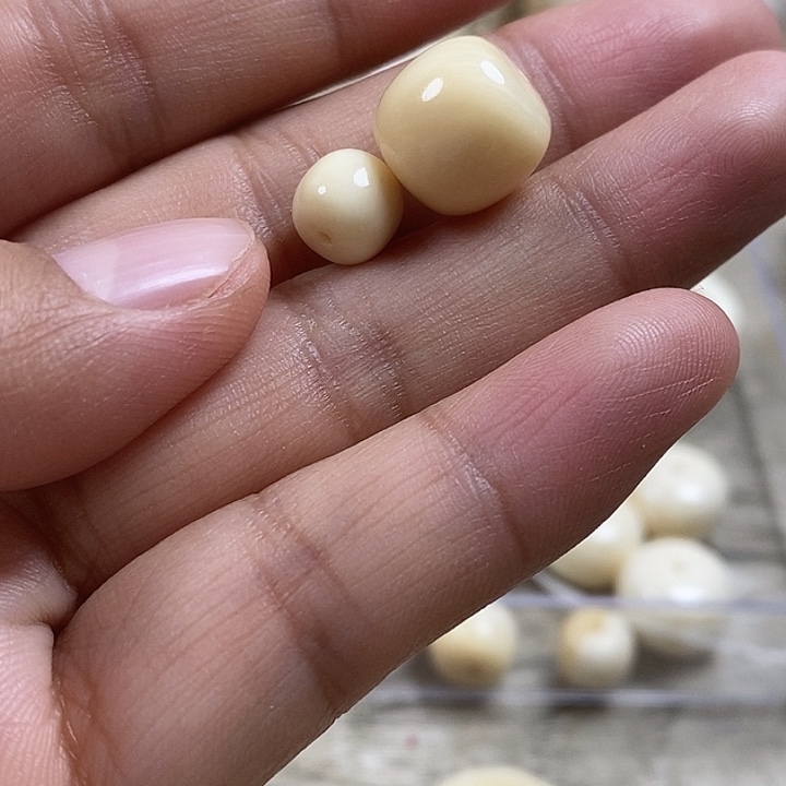彩****手串/手链贝壳老邢12老邢，2.4克，7成8老邢，0.6克