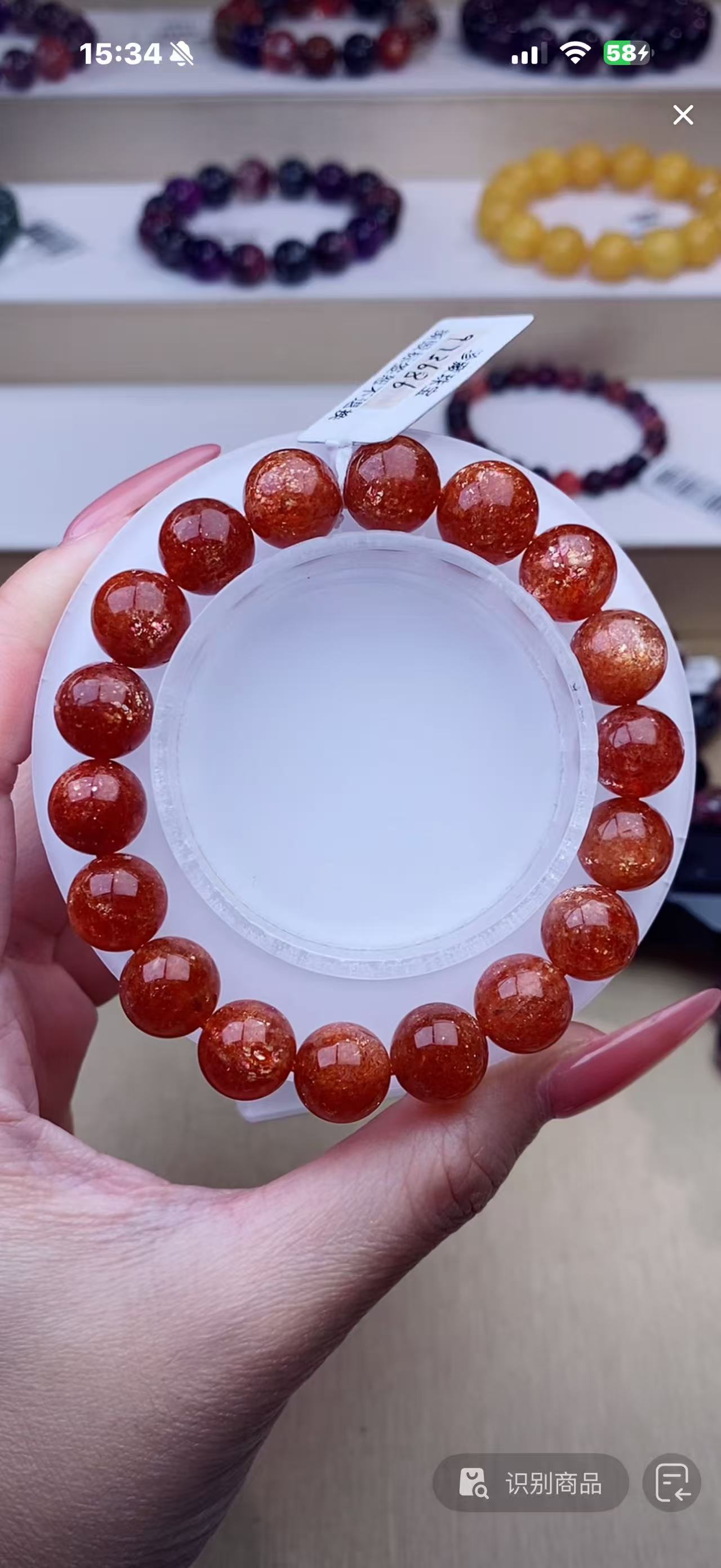 （洛洛）金太阳11m+