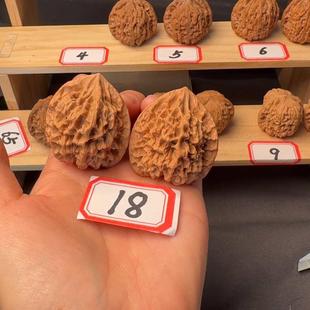 把件文玩核桃全品41尺帝王