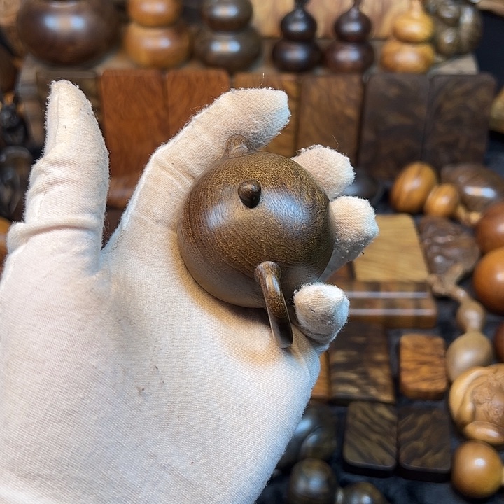 楠木金丝楠木小叶